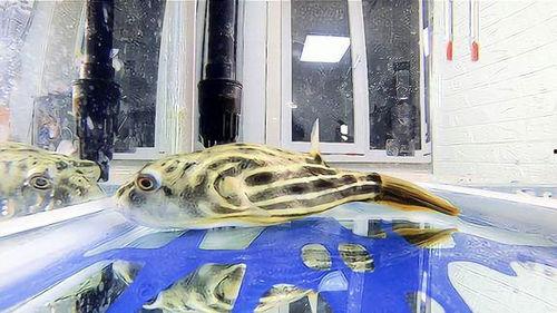 娱乐头条 第4页